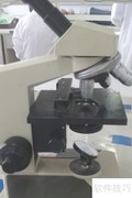 显微镜油镜操作指南