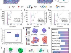 中科院金属所突破碱性全铁液流电池寿命瓶颈，实现6000次循环零衰减