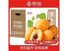 京觅攀枝花米易枇杷中果，满减优惠，券后仅16.97元