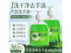 记梵惜芦荟洗手液500ml直降