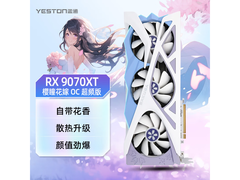 盈通RX 9070 XT显卡，到手价仅4999元