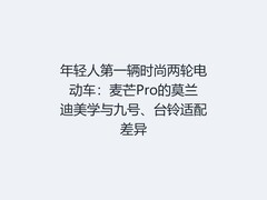 年轻人第一辆时尚两轮电动车：麦芒Pro的莫兰迪美学与九号、台铃适配差异