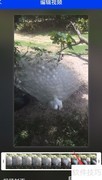 腾讯手机管家个性壁纸制作教程