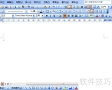 Word2003软回车转回车技巧