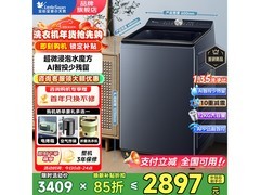 小天鹅12/10公斤波轮洗衣机