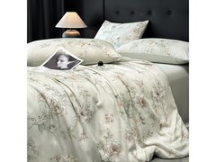 Erwin Rommel天丝空调被159元