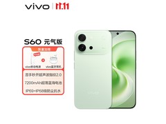 vivo S60元气版初夏绿5G手机