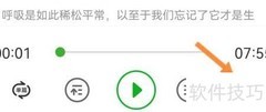英语演讲转中文技巧