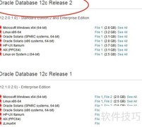Oracle 12c R2 Windows安装指南