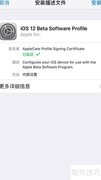 iPhone安装Beta测试版系统指南