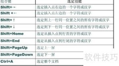 Word基础操作（三）
