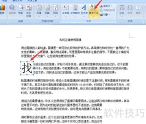 Word文档基础编辑技巧