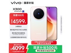 vivo X300 5G限时抢购