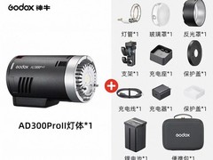 神牛AD300ProII二代外拍闪光灯特惠仅2363元