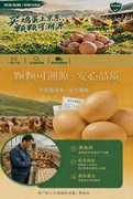 “纯过日子”时代，餐桌上的安全感，从一枚可溯源鸡蛋开始