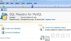 Maestro导出视图至DBF