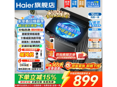 海尔10KG直驱变频波轮洗衣机