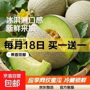 东东农场网纹蜜瓜，1.5 - 2斤带箱仅12.99元！