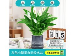 绿有意白掌红掌水培盆栽仅2.9元