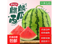 新鲜8424美都麒麟西瓜，5 - 6斤仅11元！