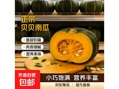 25年高山贝贝南瓜5斤仅9.99元，东东买菜速抢！