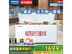 星星冰柜400升商用大容量