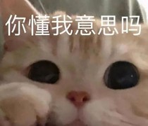 时空猎人3：战力提升十大技巧