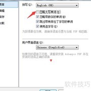 Ashampoo PDF忽略大写设置
