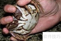 6步轻松绑好大闸蟹