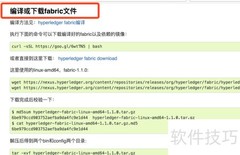 Fabric部署启动体验