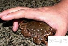 6步轻松绑好大闸蟹