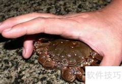 阳澄湖大闸蟹捆绑销售揭秘