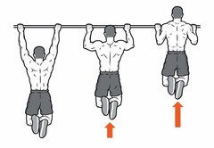 春节也要好好自律 男生推荐锻炼这三部分肌群