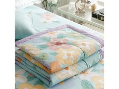 京东流川枫夏凉被，领券到手仅79元