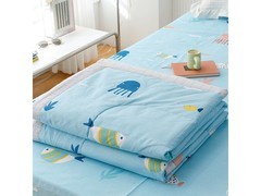 流川枫纯棉夏被Ln - 海洋奇缘，79元速抢