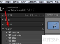 Lightroom创建收藏夹集方法