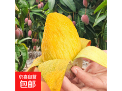 京喜海南三亚贵妃芒，250 克带箱仅 3.99 元！