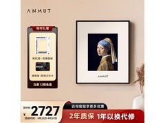 Anmut悬浮歌词壁画音响S2 PRO优雅款低价购
