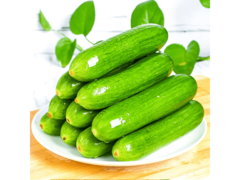 山东水果黄瓜整箱3斤包邮，仅11.9元速来！
