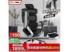 Ergomax Evolution2+电脑椅京东特惠
