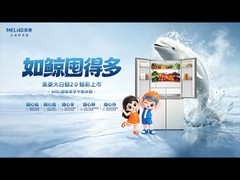 美菱/容声/海尔/美的/TCL多款大容量机型的能力与适配解析