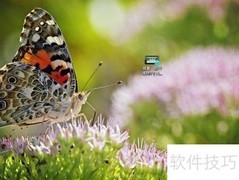 QQ影音转码技巧