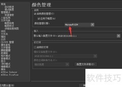 ACDSee设置颜色管理为Little CMS