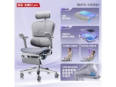 Ergonor金豪E2 Pro电脑椅以旧换新低至2580.58
