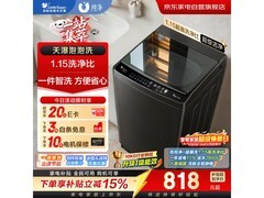 小天鹅TB100V23H免清洗波轮洗衣机