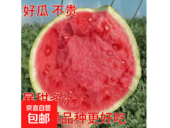 现摘现发5 - 7斤头茬无籽麒麟美都西瓜，11.9元整箱