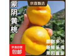 山东蒙阴黄桃蜜油桃整箱批发，5斤仅售19.9元！