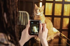 显影之前，创作已发生｜富士instaxmini Evo 2™全新上市