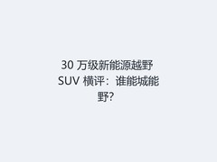 30 万级新能源越野 SUV 横评：谁能城能野？