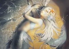 诸神皇冠：金沙人鱼血脉解析